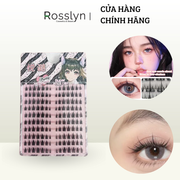 Set 12 hàng mi giả - DC101 - Rosslyn