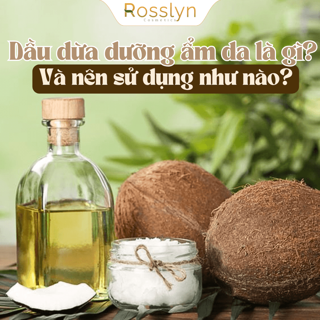 Dầu dừa dưỡng ẩm da là gì? Nên sử dụng như nào?