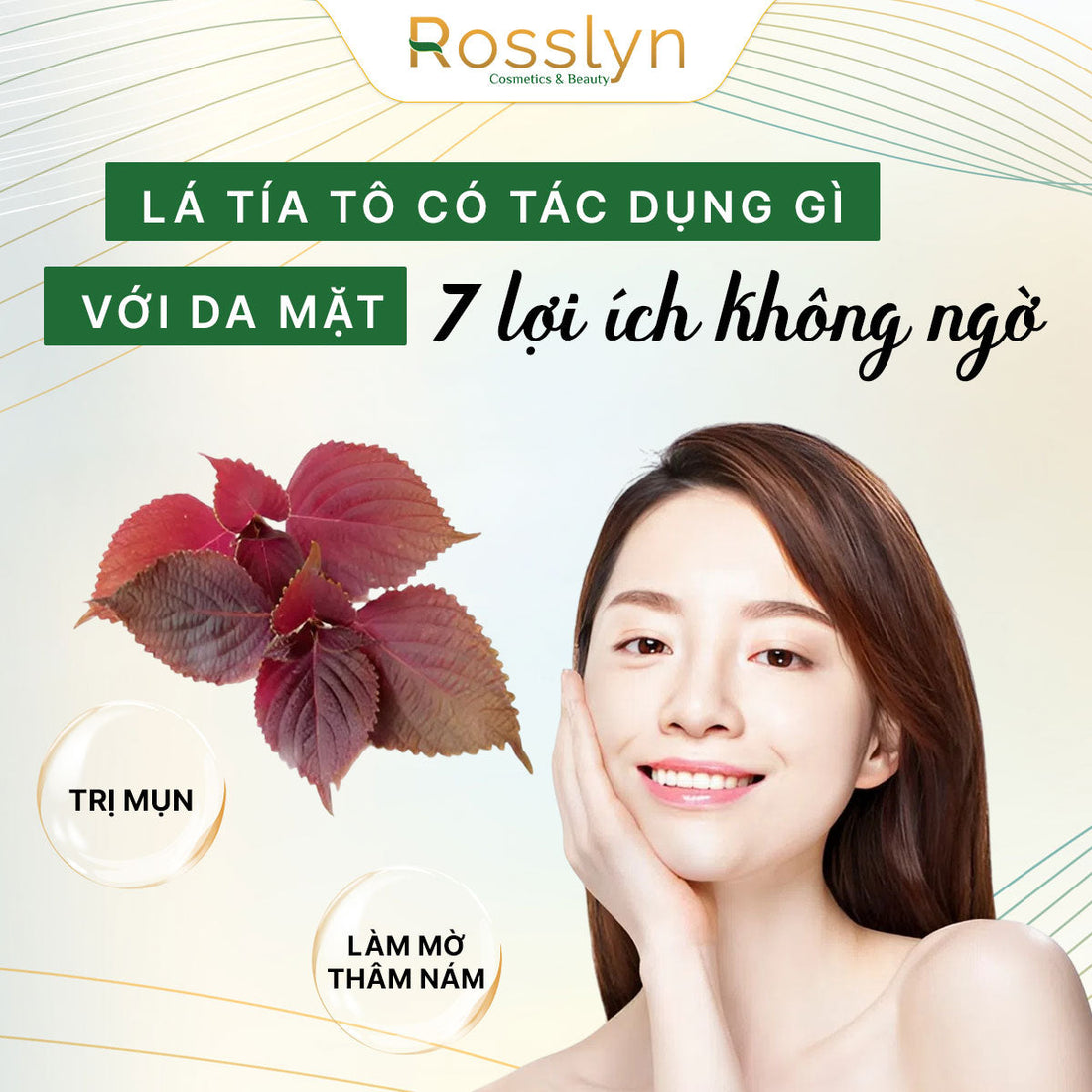 Lá tía tô có tác dụng gì với da mặt