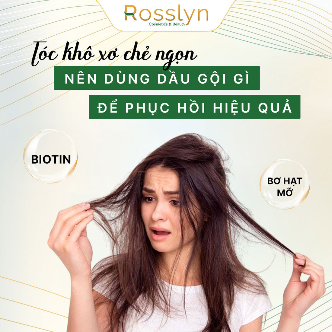 Tóc khô xơ chẻ ngọn nên dùng dầu gội gì để phục hồi hiệu quả