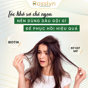 Tóc khô xơ chẻ ngọn nên dùng dầu gội gì để phục hồi hiệu quả