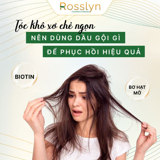 Tóc khô xơ chẻ ngọn nên dùng dầu gội gì để phục hồi hiệu quả