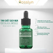 Serum trị mụn, thâm   Caryophy Portulaca Ampoule 30ml - CA000002 - Rosslyn