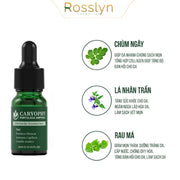 Serum trị mụn, thâm   Caryophy Portulaca Ampoule 30ml - CA000002 - Rosslyn