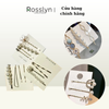 Set kẹp tóc ba món nữ thần nguyệt quế - QT197.1 - Rosslyn