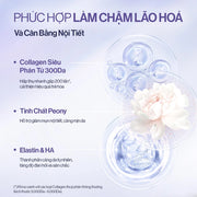 Thực phẩm bổ sung GILAA - Rosslyn