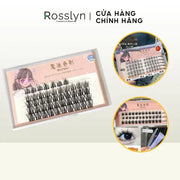 Lông Mi Giả Hình Hoa Hướng Dương 3 Nhánh Mỏng, Tự Nối - Rosslyn
